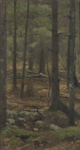 In the Forest of Rominten by Richard Friese